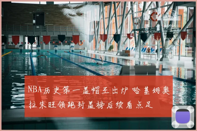 NBA历史第一盖帽王出炉 哈基姆奥拉朱旺领跑封盖榜后续看点足