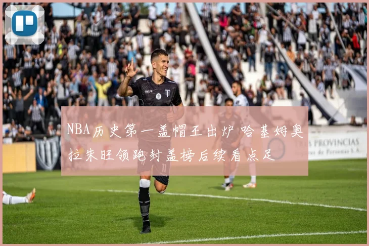 NBA历史第一盖帽王出炉 哈基姆奥拉朱旺领跑封盖榜后续看点足