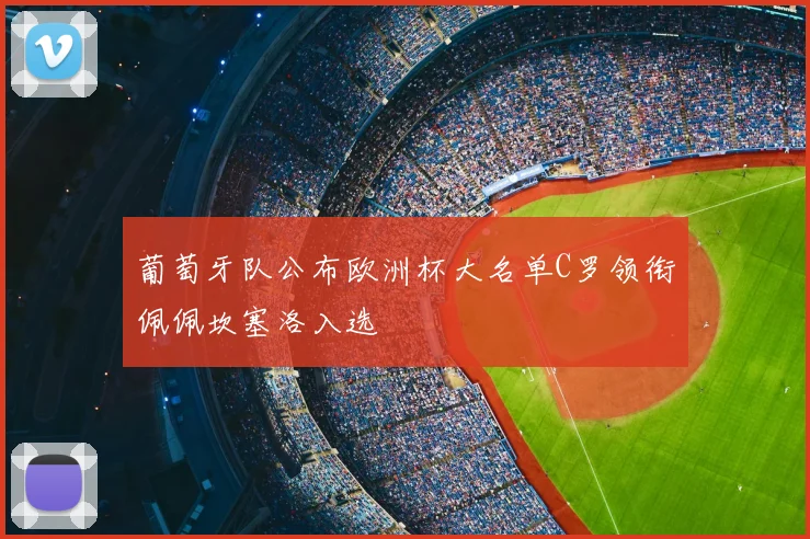葡萄牙队公布欧洲杯大名单C罗领衔佩佩坎塞洛入选