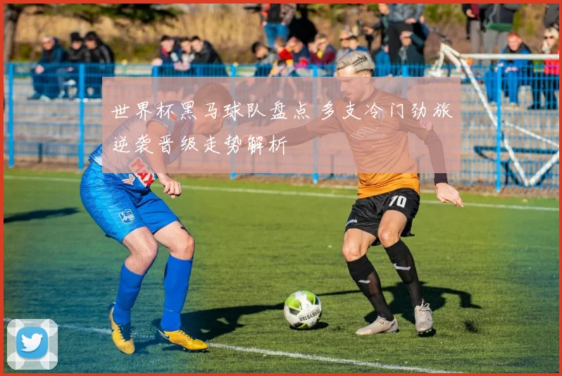 世界杯黑马球队盘点 多支冷门劲旅逆袭晋级走势解析