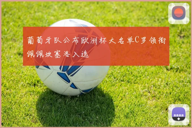 葡萄牙队公布欧洲杯大名单C罗领衔佩佩坎塞洛入选