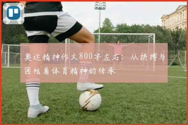 奥运精神作文800字左右:从拼搏与团结看体育精神的传承