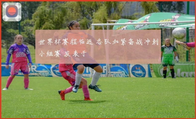 世界杯赛程临近 各队加紧备战冲刺小组赛 发表于